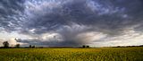Schauer_Panorama