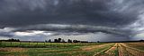 Shelfcloud_Panorama