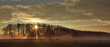 Morgennebel