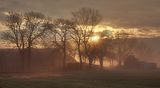 Morgennebel_01