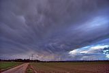 Mammatus