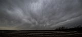 Mammatus_Panorama1