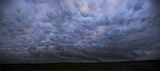 Mammatus