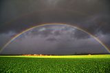 Regenbogen