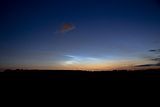 NLC_012
