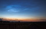 NLC_013
