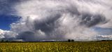 80_84_Panorama3