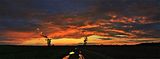 Abendlicht