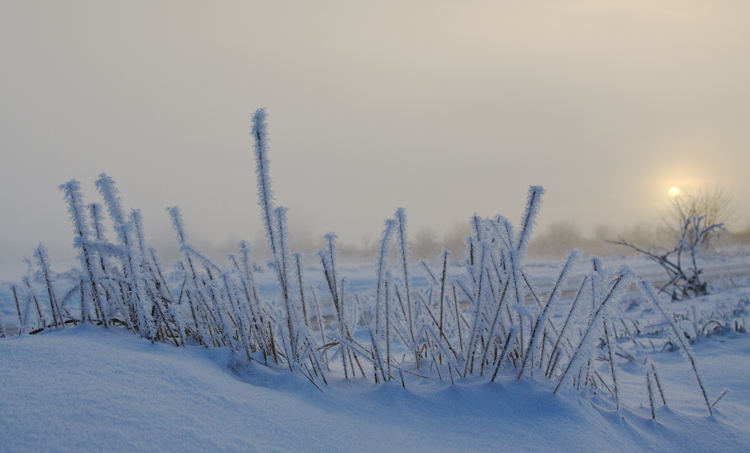 Schnee_007.jpg