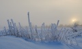 Schnee_007.jpg