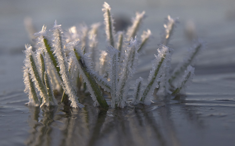 Winter_2013.jpg