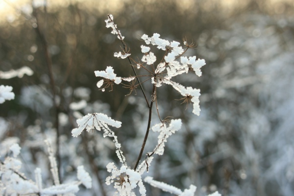211207_003a.jpg