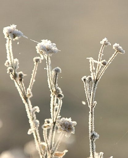 Bilder_006.jpg