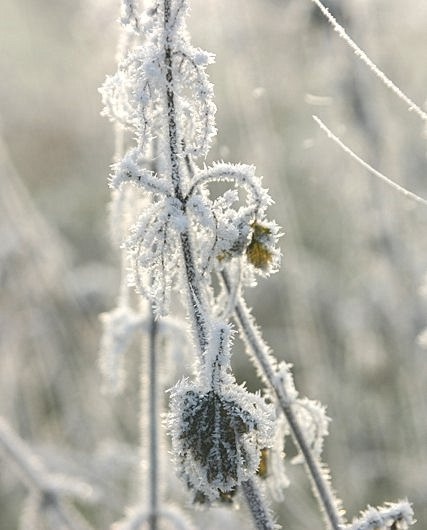 Bilder_009.jpg