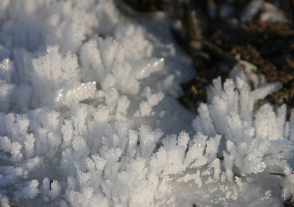 Rauhreif_311208g.jpg
