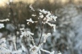 211207_003a.jpg