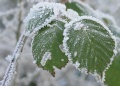 211207_014k.jpg