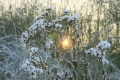 211207_018a.jpg