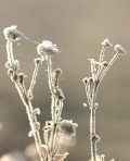 Bilder_006.jpg