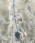 Bilder_009.jpg