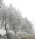 Frostbilder_06_019a.jpg