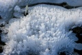 Rauhreif_311208e.jpg