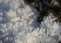 Rauhreif_311208g.jpg