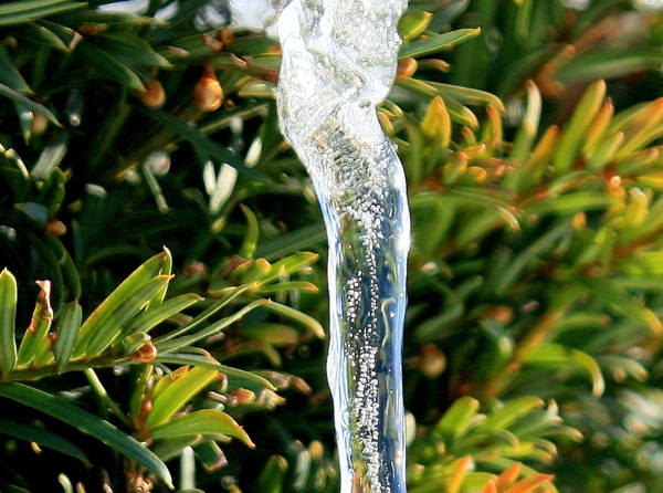 Eiszapfen_8713.jpg