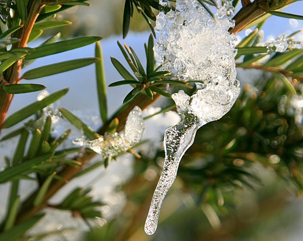 Eiszapfen_8723.jpg