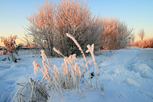 Januar_8644.jpg