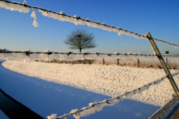 Januar_8653.jpg