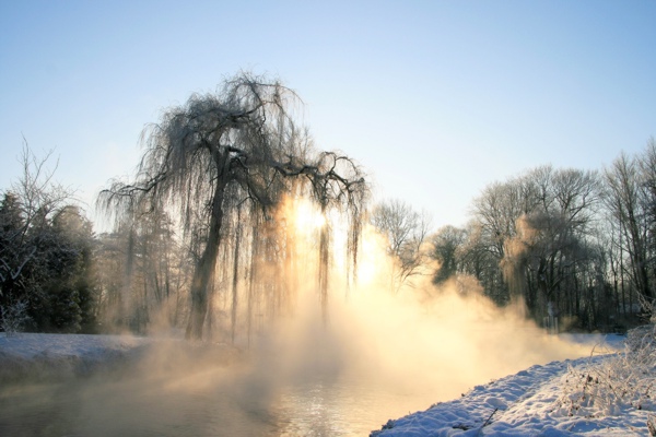 Januarerft_8662.jpg