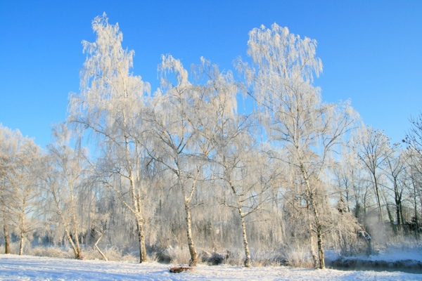 Januarerft_8664.jpg