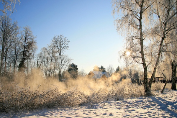 Januarerft_8665.jpg