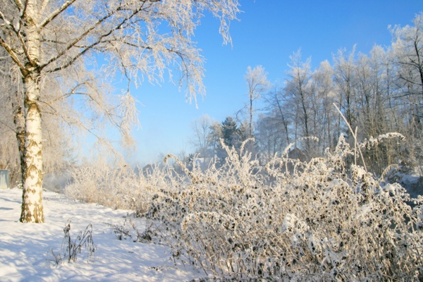 Januarerft_8666.jpg