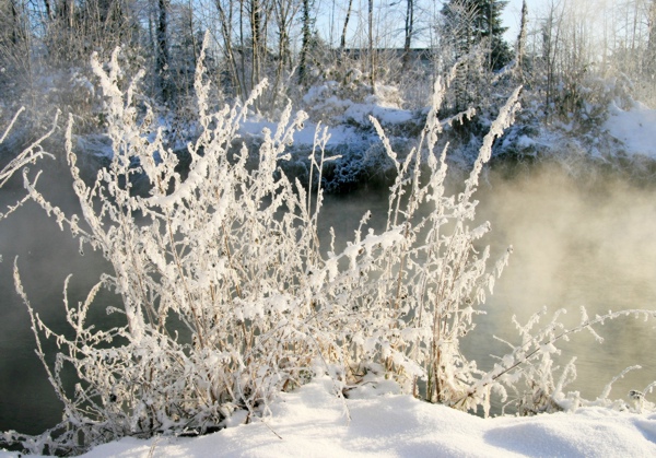 Januarerft_8668.jpg