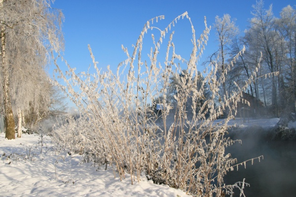Januarerft_8669.jpg