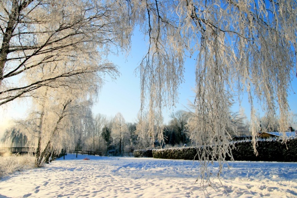 Januarerft_8670.jpg