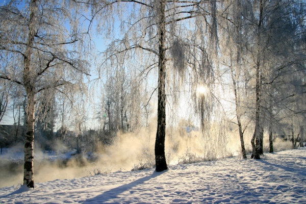 Januarerft_8671.jpg