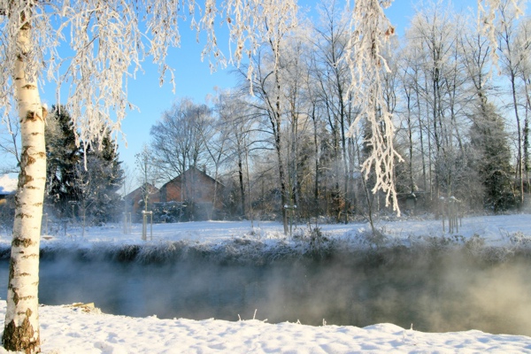 Januarerft_8672.jpg