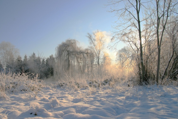 Januarerft_8673.jpg