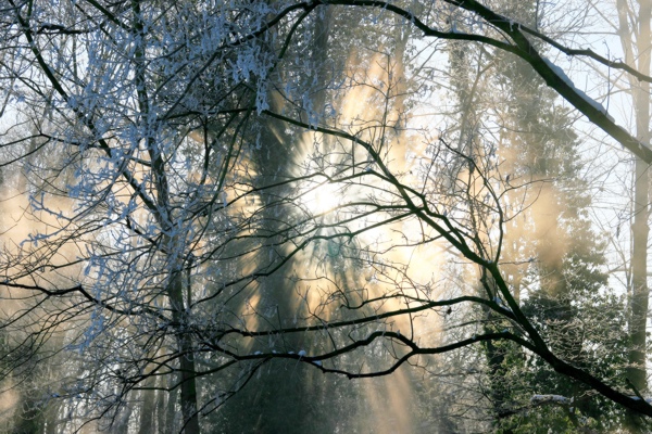 Januarerft_8679.jpg