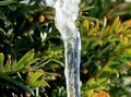 Eiszapfen_8713.jpg