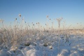 Januar_8651.jpg