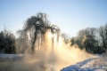 Januarerft_8662.jpg