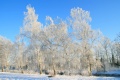Januarerft_8664.jpg