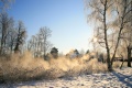 Januarerft_8665.jpg