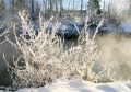 Januarerft_8668.jpg