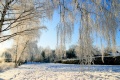 Januarerft_8670.jpg