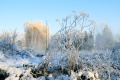 Januarerft_8677.jpg